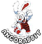angorabbit1