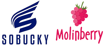 sobucky_molinberry_logo